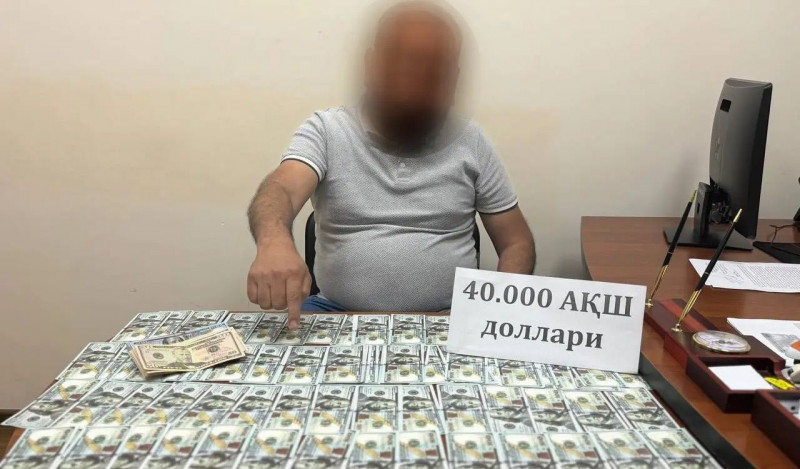 Toshkent viloyatida 260 gektar yerni 400 ming dollarga sotmoqchi bo‘lgan shaxs ushlandi