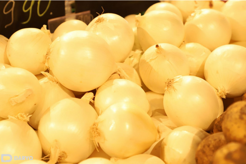 Price of onions in Uzbekistan and Tajikistan hits record low - EastFruit