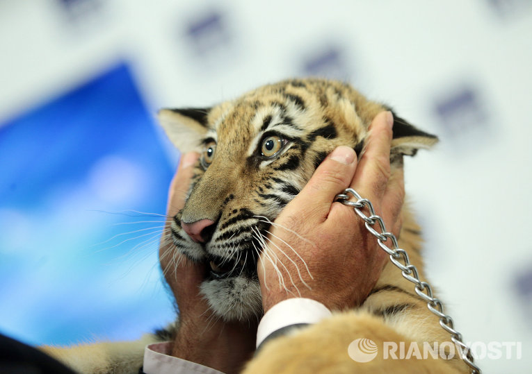 Foto: “RIA Novosti”