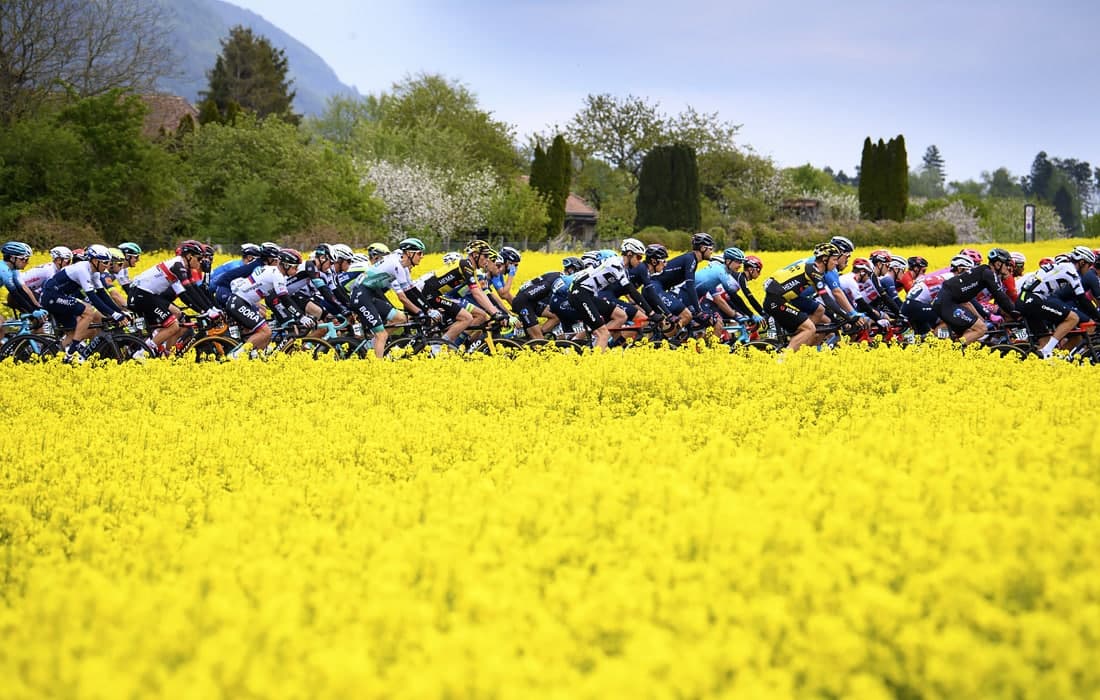 Швейцариядаги Tour de Romandie 74-велосипед пойгасининг иккинчи босқичида гуллар билан бурканган майдон ёнидан ўтаётган спортчилар.