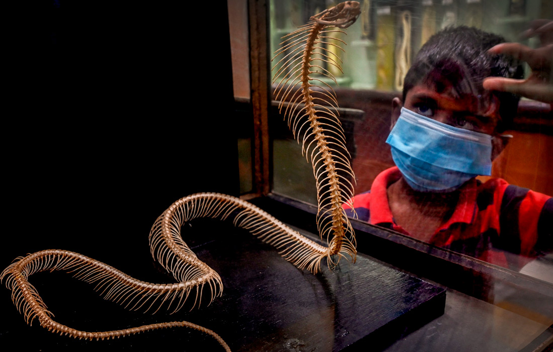 Фото: Ҳиндистоннинг Тамилнад штати коронавирус туфайли жорий этилган қатъий чекловларни юмшатди