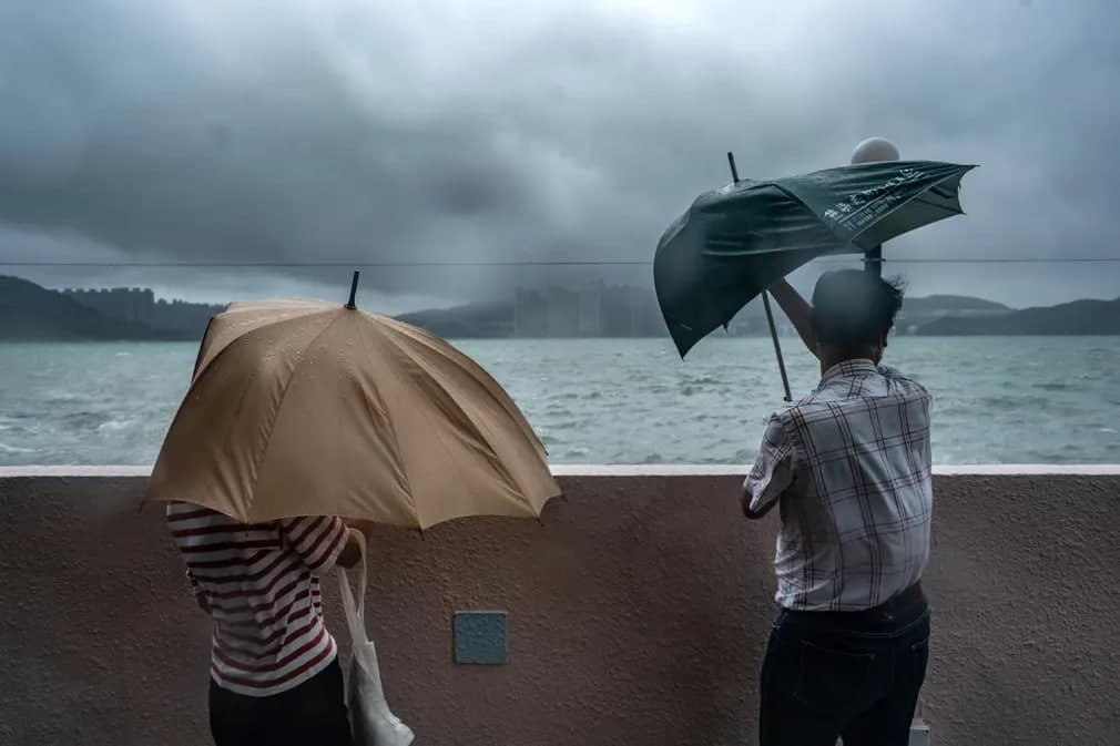 Гонгконгга яқинлашиб келаётган тайфун вақтида соябон ушлаб турган жуфтлик.