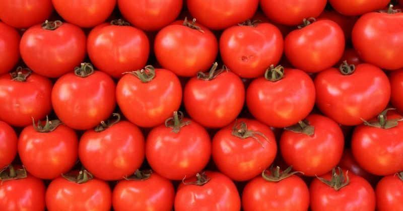 Turkmenistan displaces Uzbekistan in Tajikistan's greenhouse tomato market