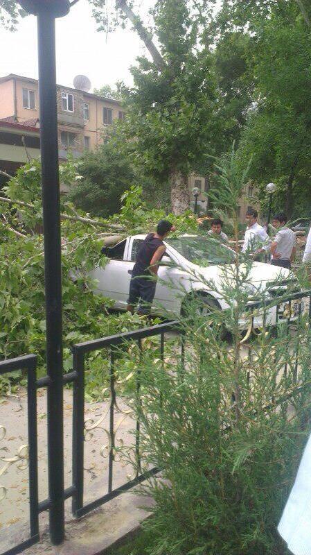 Shamol tufayli zarar ko‘rgan avtomobil. Foto: Facebook / “Voditeli Tashkenta”