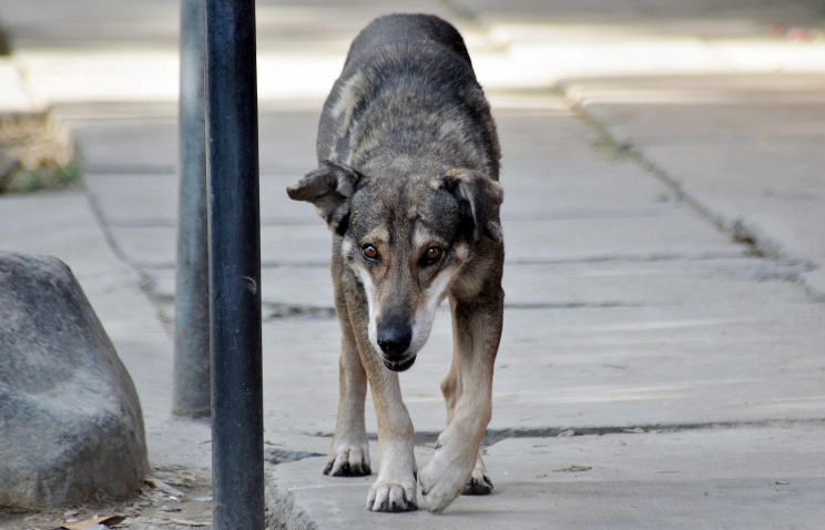 Foto: itar-tass.com