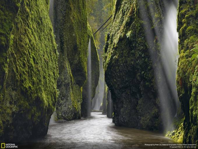 Kanyon, AQSh. Foto: National Geographic