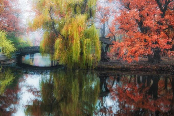 Saratov shahar bog‘i, Rossiya. Foto: National Geographic