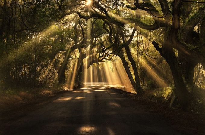 Quyosh tunneli. Foto: bigpicture.ru