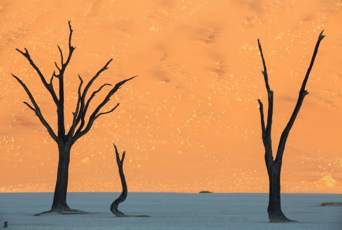 Намибия чўли. Фото: adme.ru