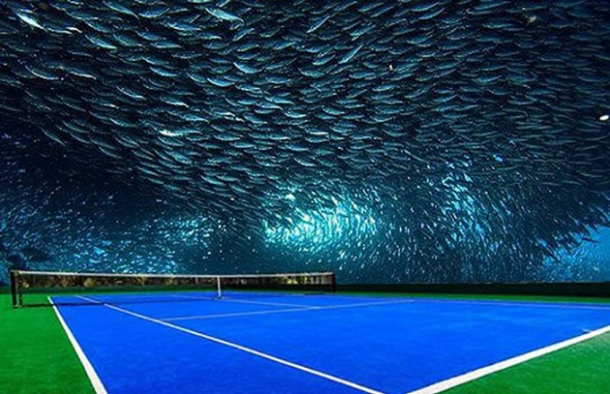 Сувости теннис корти концепти. Фото: novate.ru