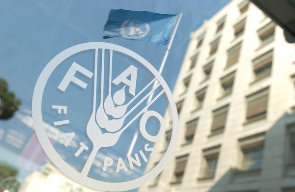 Foto: fao.org