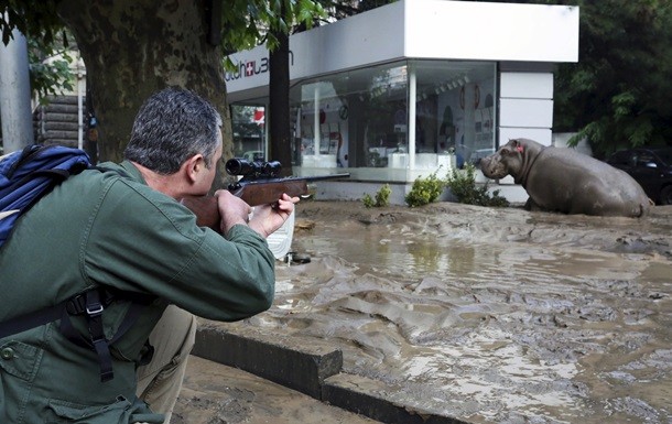 Фото: Reuters