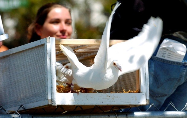 Фото: Reuters