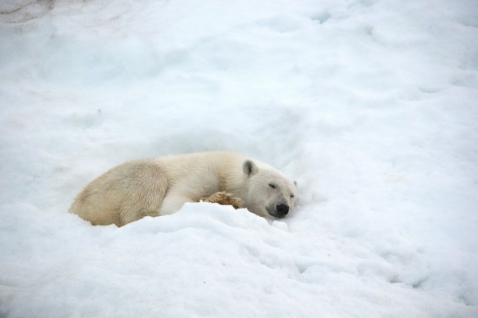 Foto: National Geographic