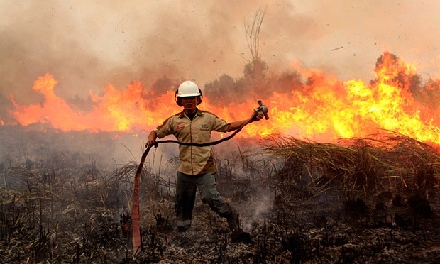 Foto: The Guardian