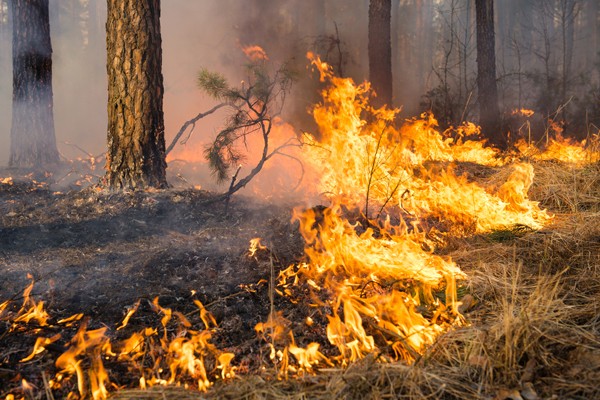 Foto: “Rossiyskaya gazeta”