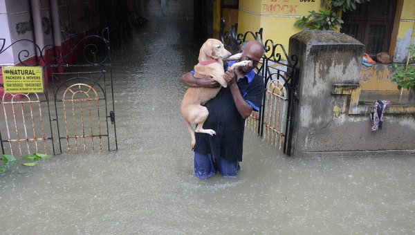 Фото: AP Photo