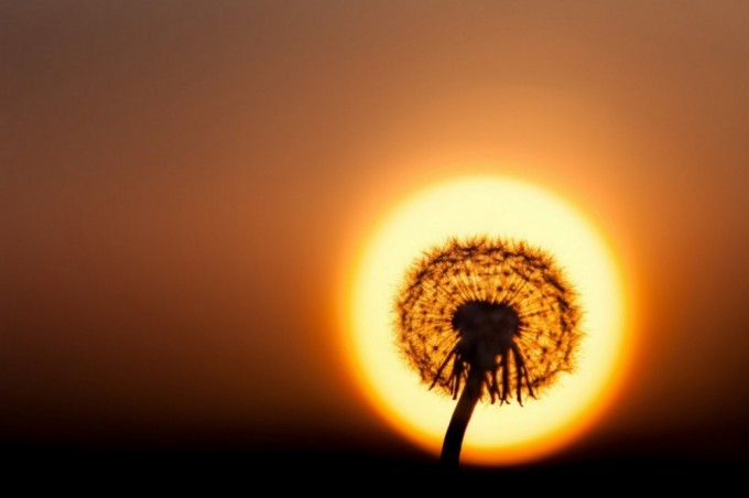 Foto: Bright Side