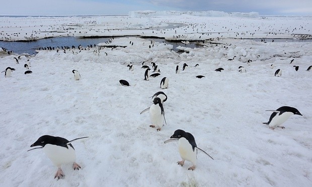 Foto: The Guardian