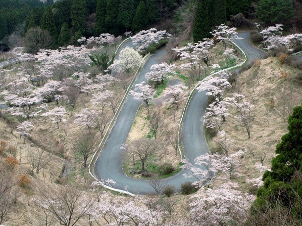 Япониядаги Touge Roads. Фото: Business Insider