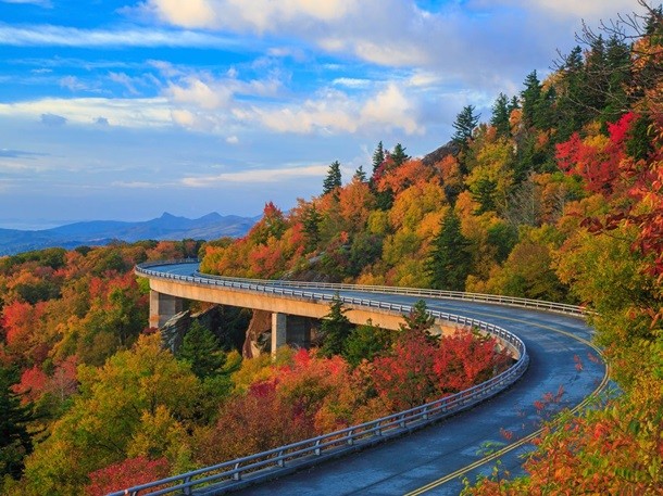 Виржиниядаги The Blue Ridge Parkway. Фото: Business Insider