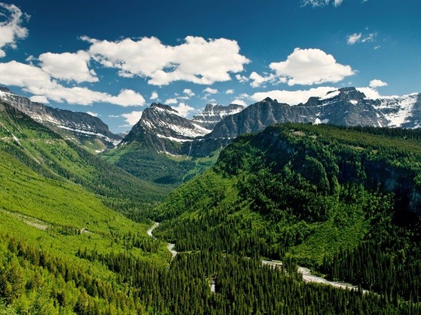 Going-to-the-Sun Road. Фото: Business Insider