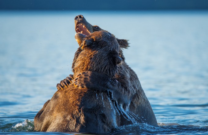 Foto: National Geographic