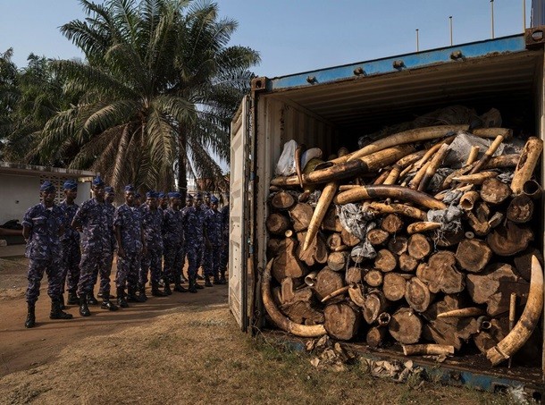 Фото: The Guardian