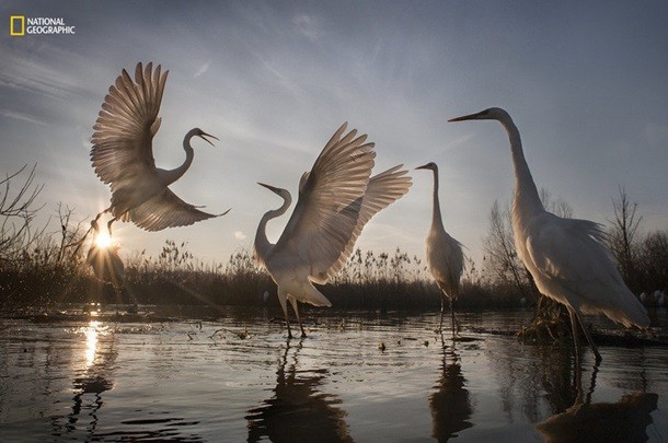 Foto: National Geographic