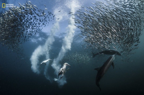 Фото: National Geographic