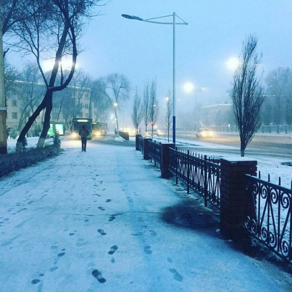 Фото: Instagram / @intashkent