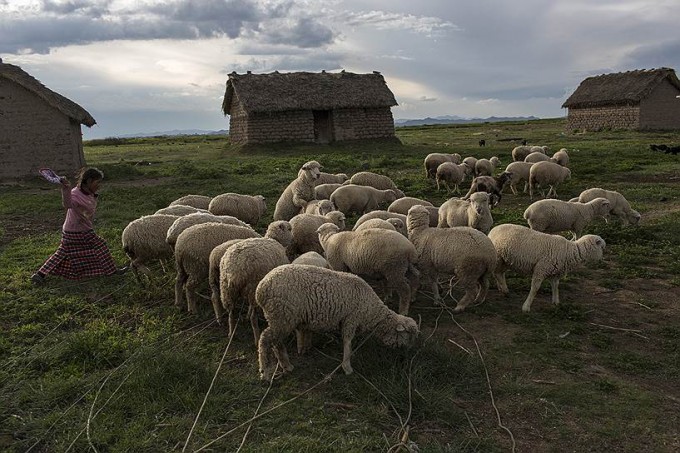 Foto: “Kommersant”