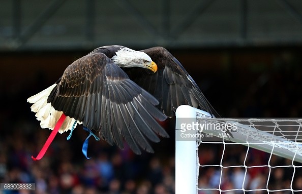 Foto: Getty Images