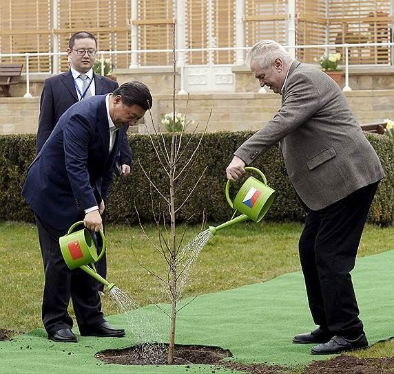 Chexiya prezidenti Milosh Zeman va Xitoy raisi Si Szinpin. Foto: Reuters