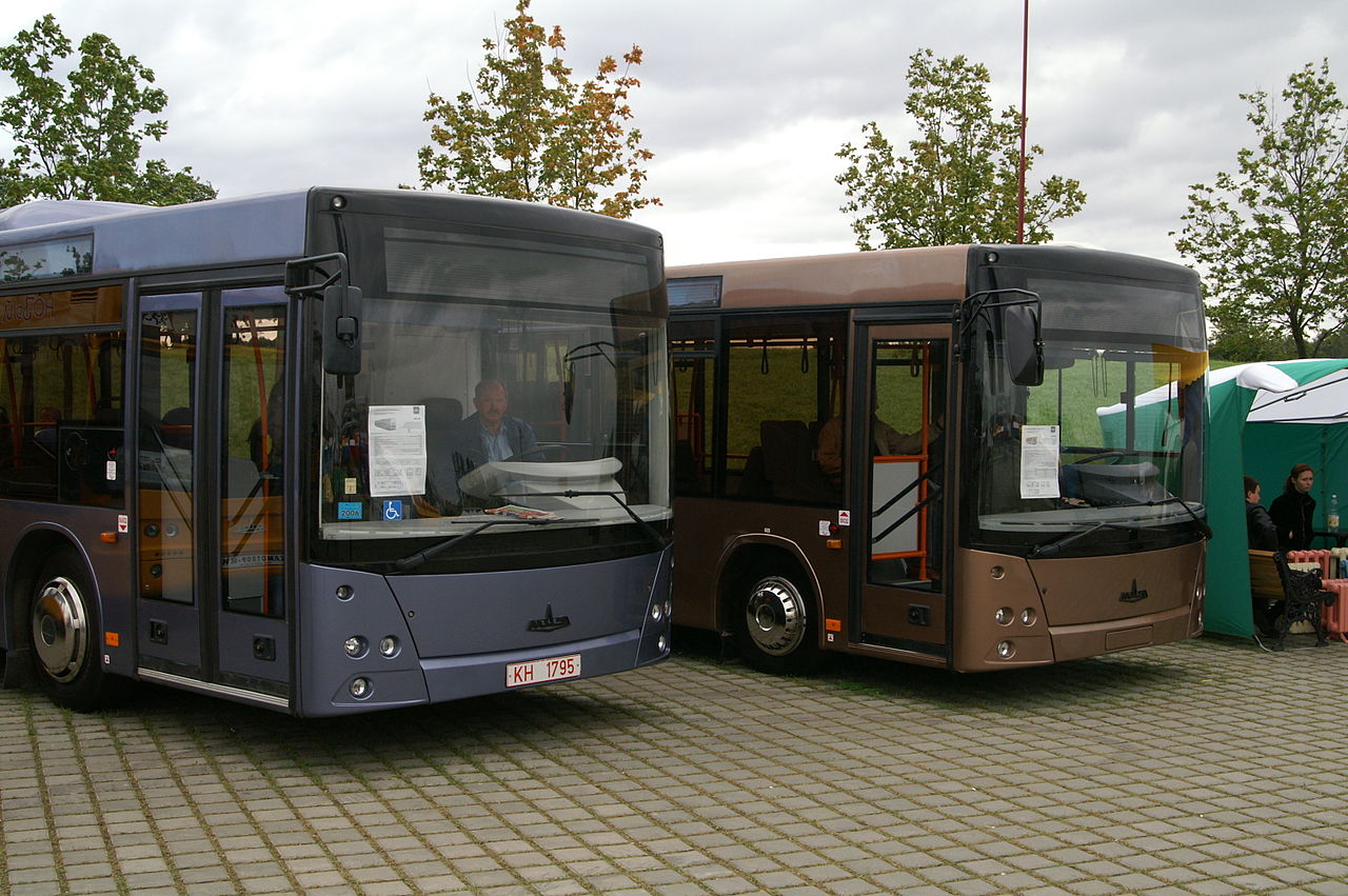 MAZ-203 va MAZ-206 avtobuslari.