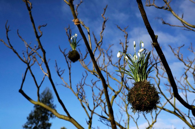 Фото: AP