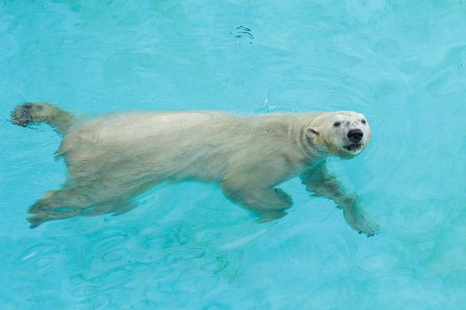 Foto: National Geographic