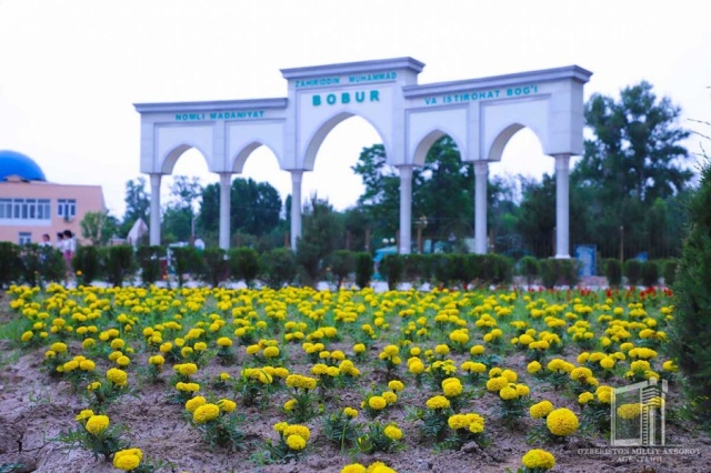 Namangan наманган. Наманган гуллар шахри. Наманган шахри. Чуст Наманган природа. Самарканд гуллари.