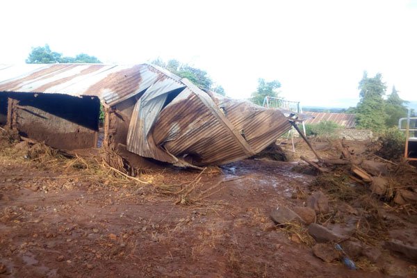 Foto: Daily Nation