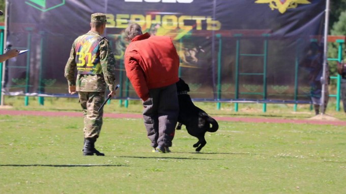 Foto: Mudofaa vazirligi matbuot xizmati