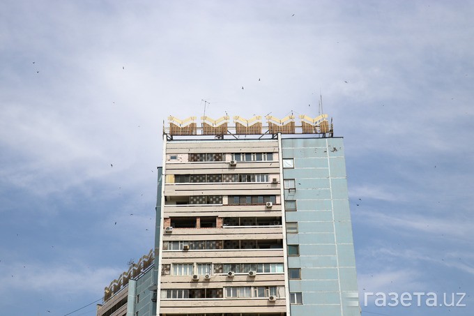 Foto: “Gazeta.uz”