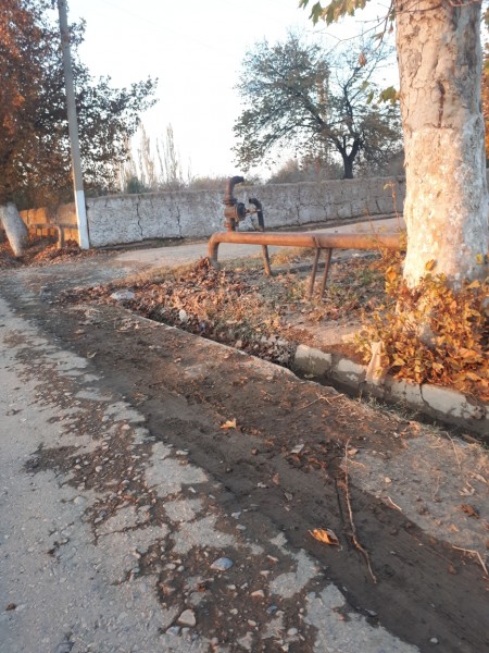 Foto: Bog‘iobod mahallasi fuqarolari tomonidan yuborilgan surat