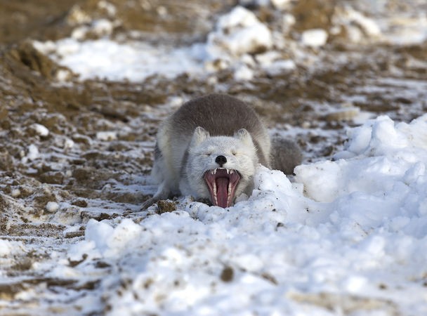 Фото: National Geographic