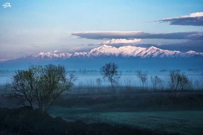 Совуқ тонг далалардан чангларни йиғиб олди.