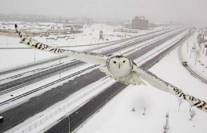 Foto: National Geographic