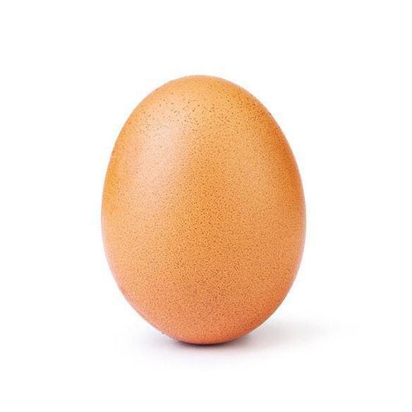 Фото: Instagram/World Record Egg