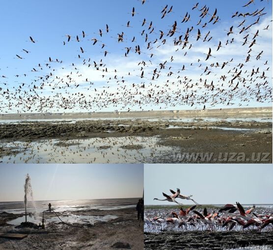 Фото: ЎзА
