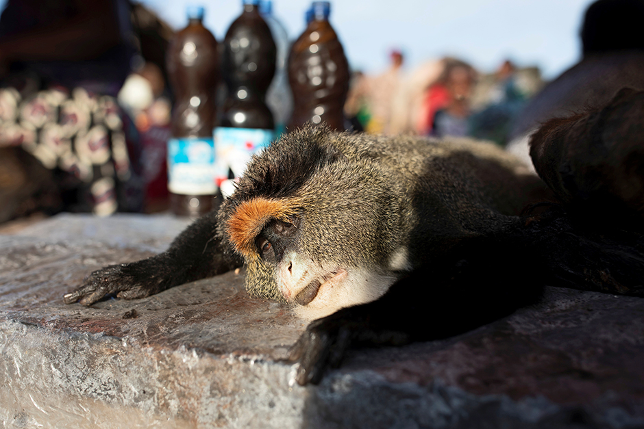 Foto: Reuters