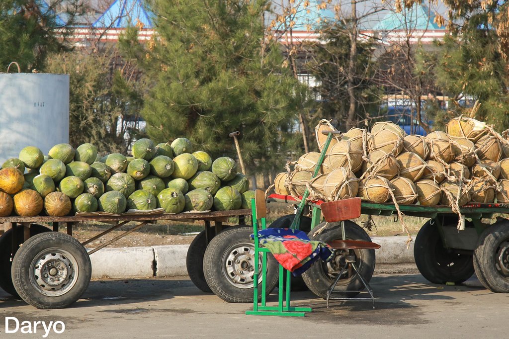 Ташкент куш БОЗОРИ