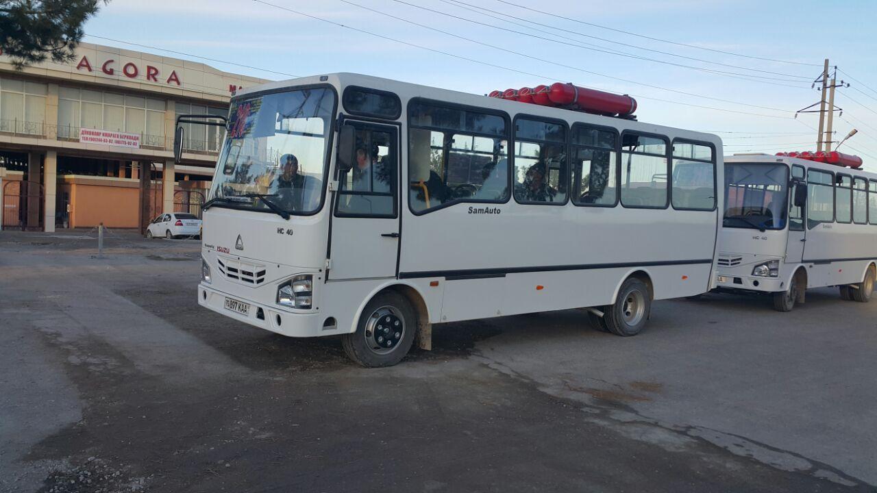 Foto: Qashqadaryo transport boshqarmasi
